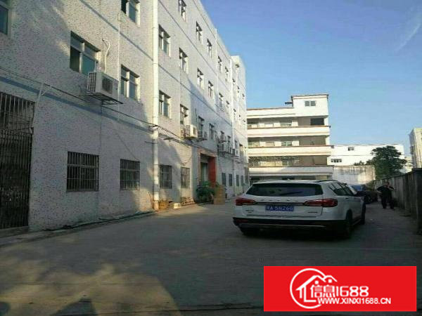 龙东新出独院厂房4600平方，原房东便宜租，