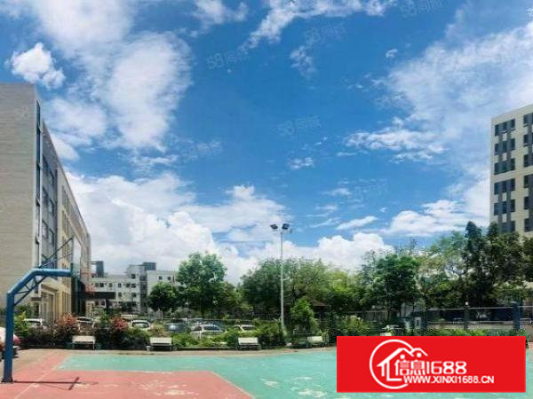 凤岗.雁田临深百米高端花园式红本厂房一楼6000平招高新行业