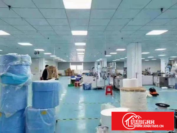 长安乌沙原房东6000平厂房出租可分租