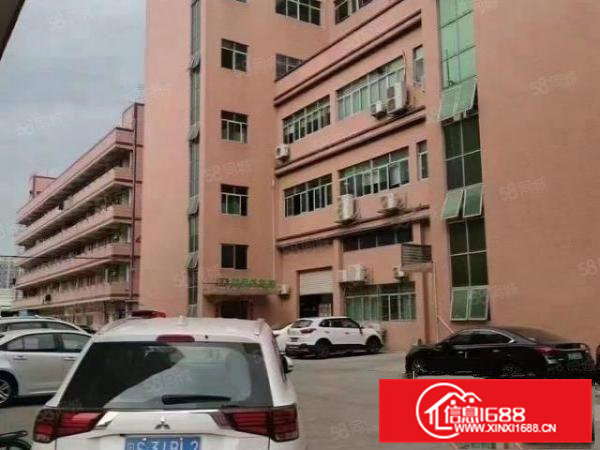 清溪三中新出楼上650平方带现成装修办公室地坪漆