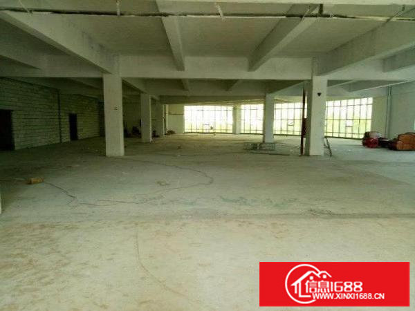 松岗大田洋1760平单层大厂房出租,可分割,实图