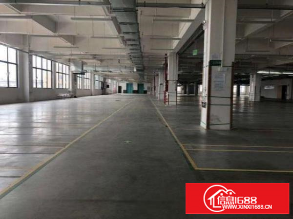 茶山新出独门独院标准厂房8000方，空地3000，一楼6米