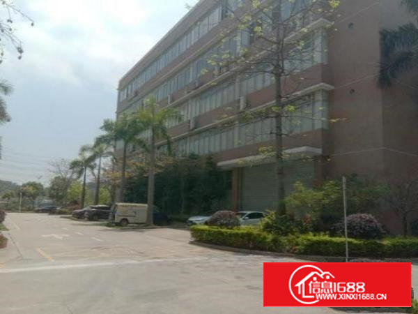 石岩水田原房东整栋一至五层15000平方出租