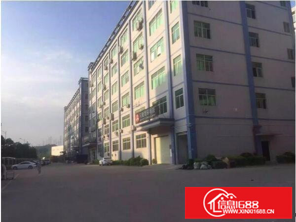 上雪科技园新出楼上带精装修1200厂房出租