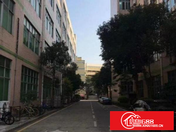 龙岗爱联原房东红本厂房出租10000平可分