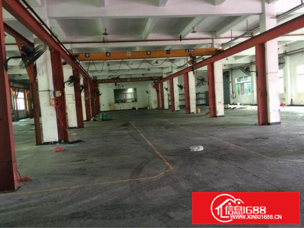常平独院厂房：7800平米，一楼6.5米，水电齐全
