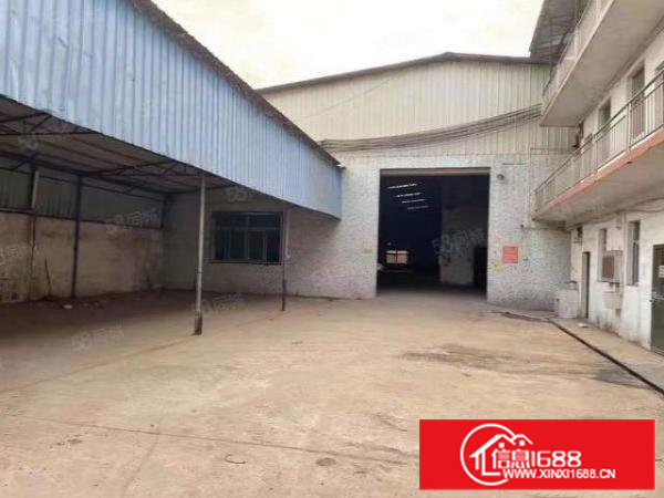 常平靠大朗新出原房东独门独院单一层钢构厂房总面积2000平