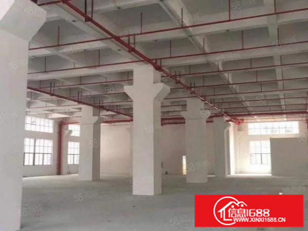 东坑镇高新产业园一楼6.5米高标准厂房出租