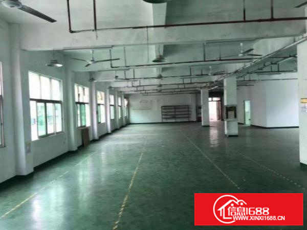 新福永靓盘，独门独栋，