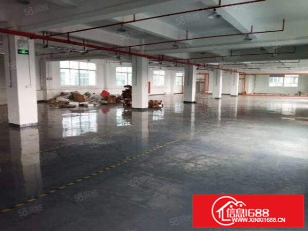 坂田上雪科技园新出1360平红本厂房原房东直租带消防喷淋