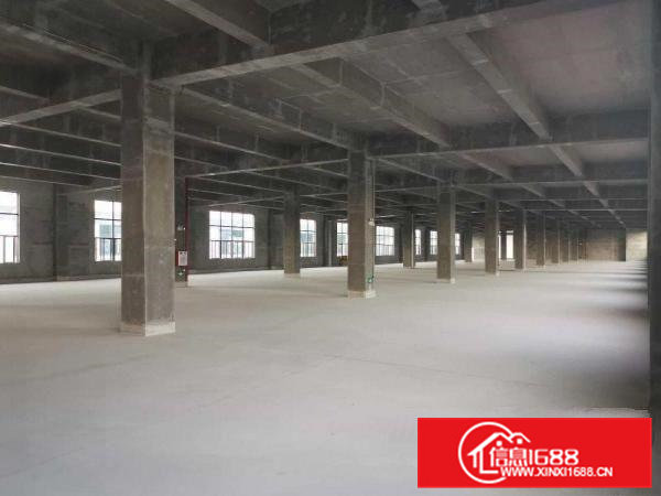 常平和谢岗交界厂房招租（非中介）