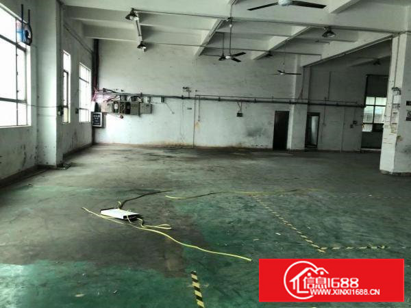 田心业主自建厂房一楼整层800平带阁楼