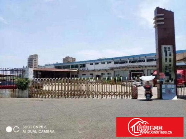 松岗新出5000平厂房，有现成办公室，19元低价招租