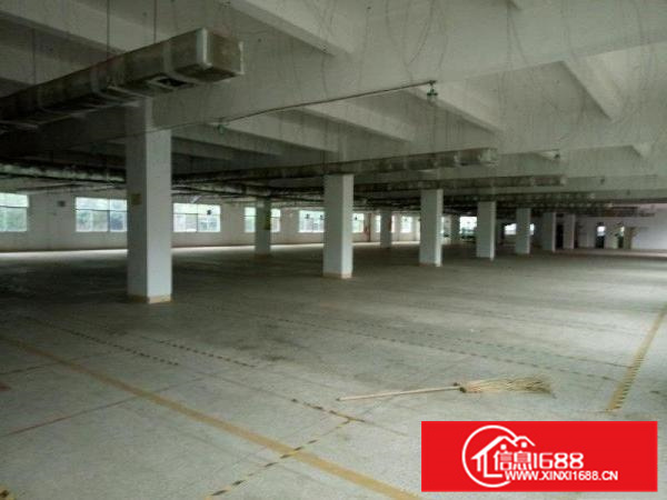 惠阳新圩新出独院10000平形象好空地大可分租