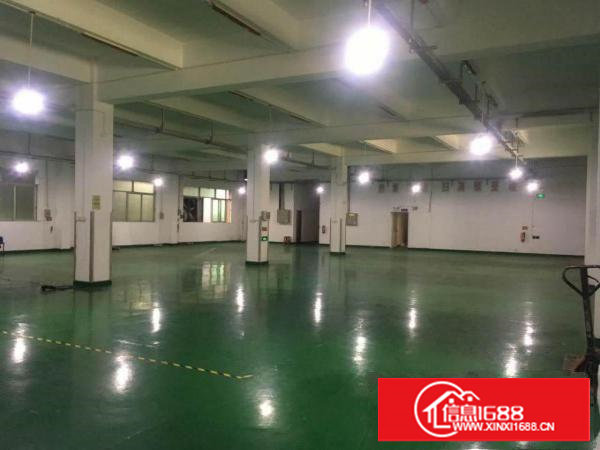 ~Hot：沙湖1000平米带地坪漆和照明一楼厂房：挨蛟乙塘~