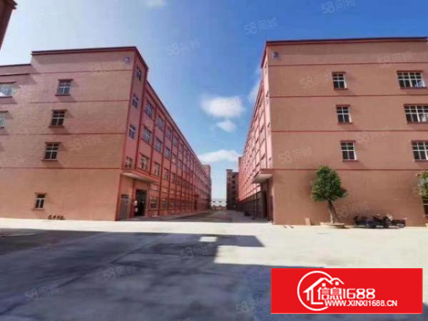 石排镇中心红本带航车厂房出租两栋