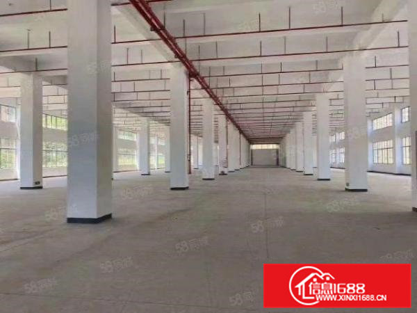 清溪镇原房东独院标准厂房出租一楼七米高，带牛角（可分租）