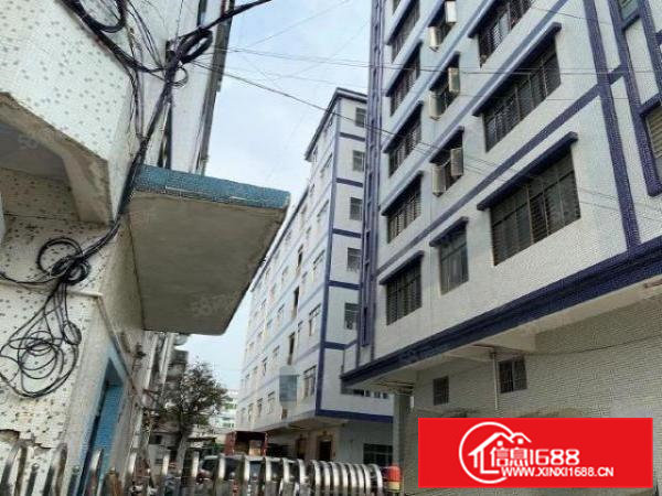 茶山新出独门独院厂房11250平方17元出租