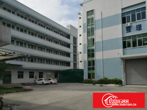 横沥山厦新出二楼1320平厂房带装修空地大