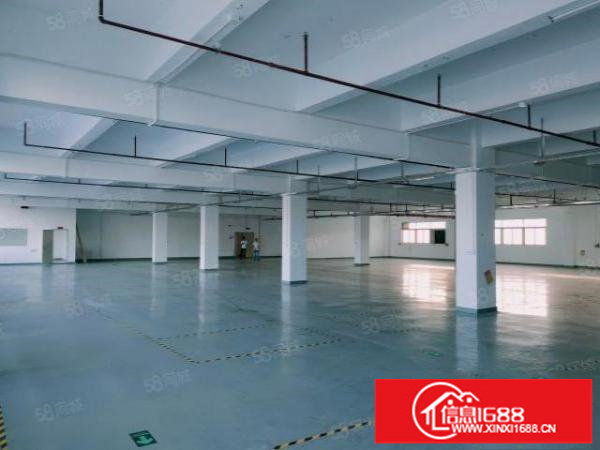 龙华大浪工业园原房东厂房仓库厂房出租精装修2500平可分租