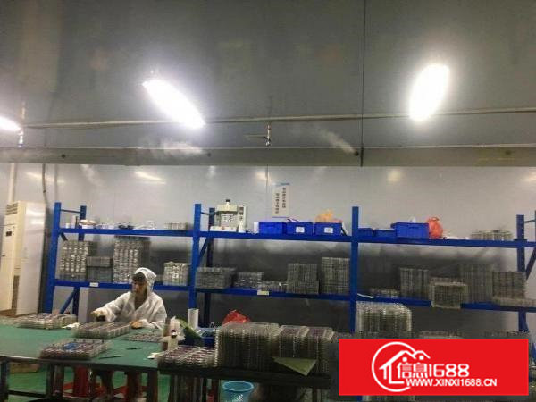 无尘车间招租3压1付