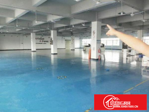 有房产证，容桂独院3600方，带污水处理，电大，可办环评