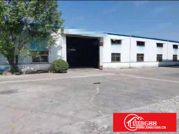 降租降租清溪三中新出单一层3000平钢构超大空地水滴9米