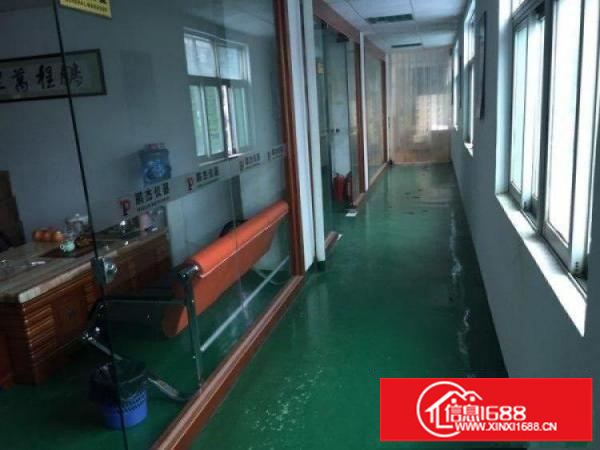 东莞桥头镇新出独门独院单一层钢结构厂房3300平方出租