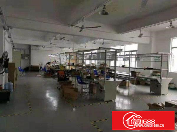 大朗大井头出租精装修办公厂房500平，办公设施齐全，现成装修