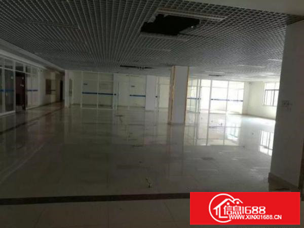 横岗大康独门独院4900平方厂房招租