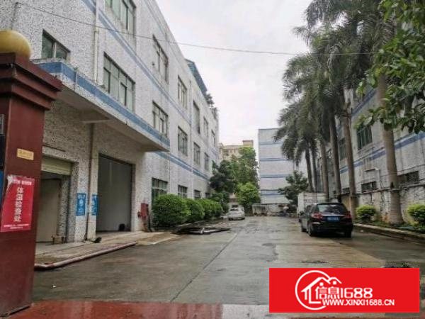 龙岗爱联嶂背高品质厂房