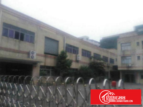 万江独院单一层厂房1800平方带现成地坪漆出租水电消防齐全