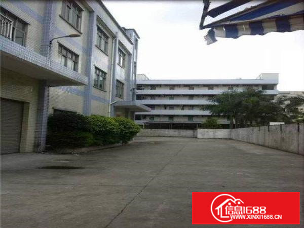 茶山标准分租楼上无公摊精2200平方厂房出租精装修