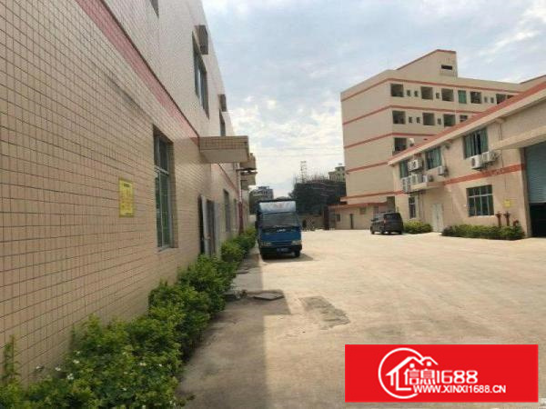 陈江镇独门独院单一层滴水七米钢构厂房2500平方