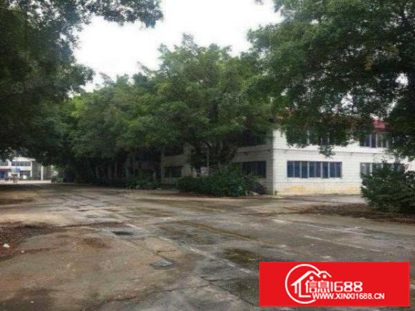 龙岗同乐独栋钢构厂房出租2000平层高八米可分租