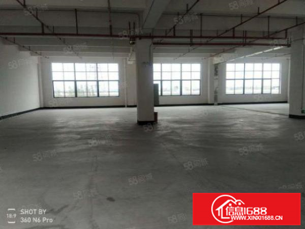 大良3001000方楼层式厂房，租金13元方，有办公室。