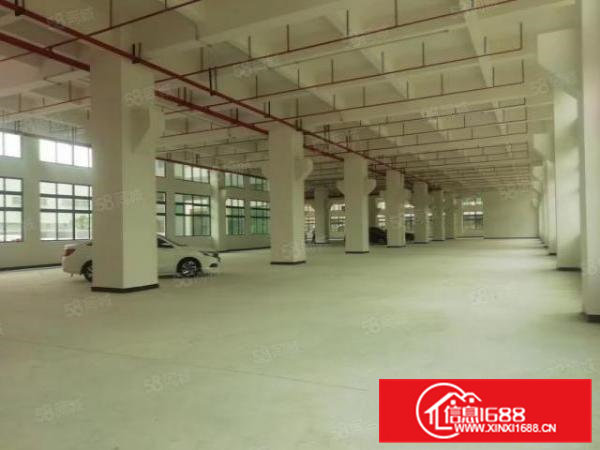 东坑原房东独院厂房总面积8800平方