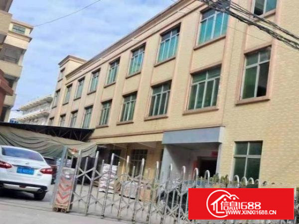 长安镇原房东小独院2500平方出租，水电齐全