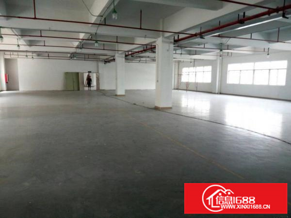 龙岗宝龙分租精装修厂房1500平方米