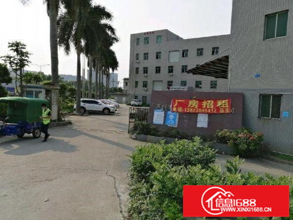 西坑路口安良路1号一楼厂房房东直租