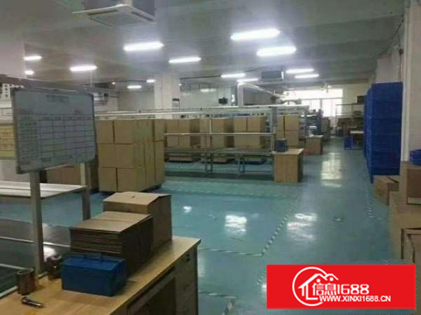 出租沙井后亭1000平米厂房不要转让费