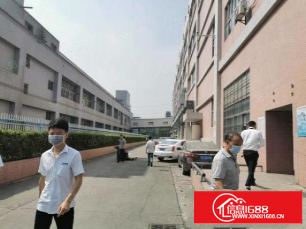 凤岗雁田原房东独院厂房出租二楼850平方带消防喷淋现成地坪漆