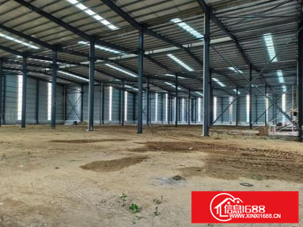 佛山市南海区九江镇单一层原房东