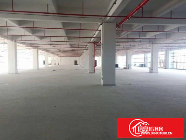 清溪镇科技产业园现空出精美独栋厂房，国有证！