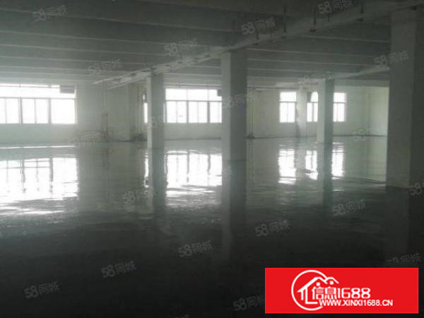 15块！带地坪漆！龙岗同乐原房东1000平2楼厂房出租有电梯