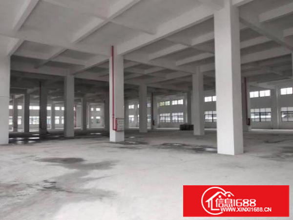 坪山新出一楼1000平厂房出租有3000平空地