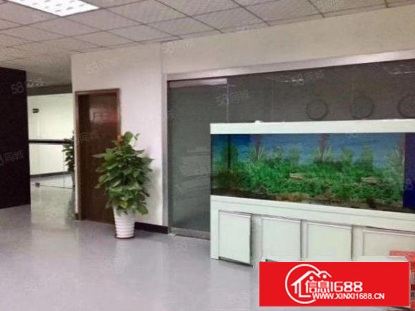 公明楼村新出630平方带装修厂房出租交通方便.易招