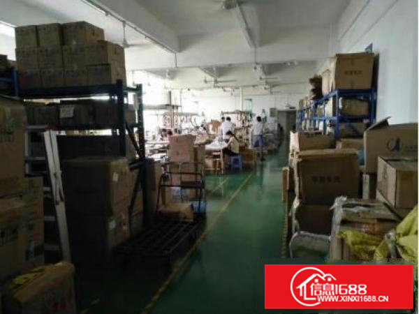 常平金美（新出）2楼850平方带装修厂房出租