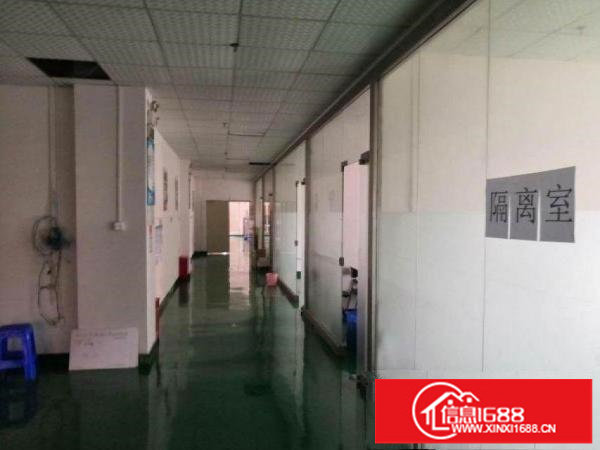 横岗六约带装修厂房出租1400平方，9成新地坪！