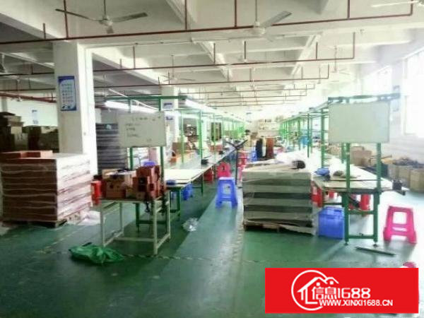 坪山碧岭独院4800平米空地大带装修